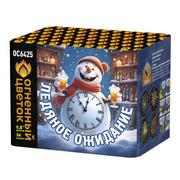 Ледяное ожидание.