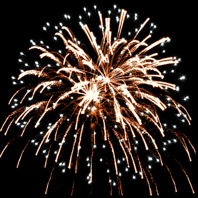 Брянский волк