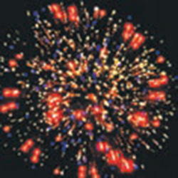 Хризантема