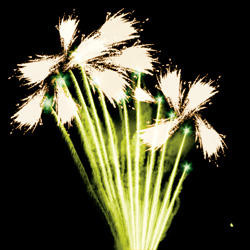 Новый год к нам мчится.