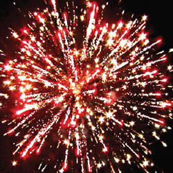 Павлин-мавлин.