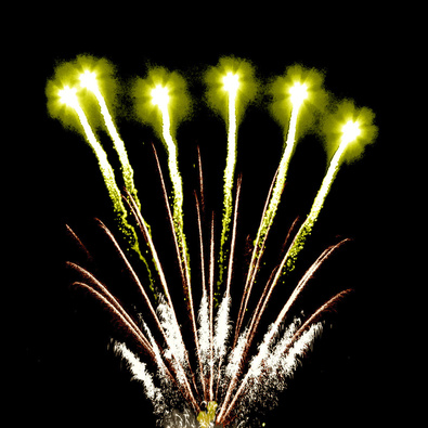 Служу Отечеству.