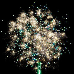 Цветущая сакура.