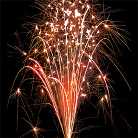 Вася-василек