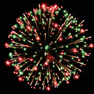 Зимовенок Кузя.